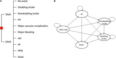 Economic Evaluation of Transcatheter Aortic Valve Replacement Compared to Surgical Aortic Valve Replacement in Chinese Intermediate-Risk Patients